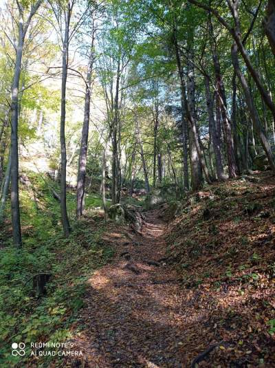 Tu jest pięknie: Dolina Prądnika w obiektywie Marcina Szymańskiego - zdjęcie 14