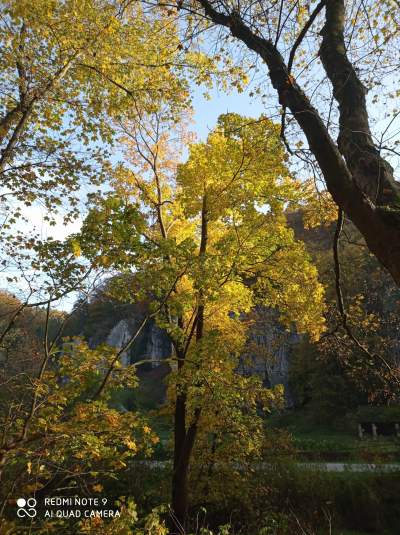 Tu jest pięknie: Dolina Prądnika w obiektywie Marcina Szymańskiego - zdjęcie 25