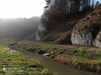 Tu jest pięknie: Dolina Prądnika w obiektywie Marcina Szymańskiego - zdjęcie 44