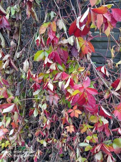 Tu jest pięknie: Dolina Prądnika w obiektywie Marcina Szymańskiego - zdjęcie 30