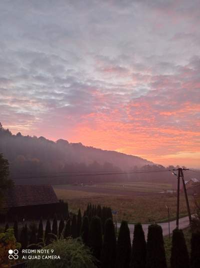 Tu jest pięknie: Dolina Prądnika w obiektywie Marcina Szymańskiego - zdjęcie 27