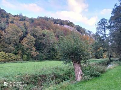 Tu jest pięknie: Dolina Prądnika w obiektywie Marcina Szymańskiego - zdjęcie 5