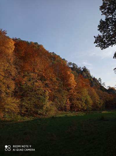 Tu jest pięknie: Dolina Prądnika w obiektywie Marcina Szymańskiego - zdjęcie 31