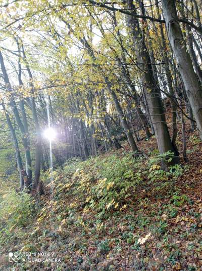 Tu jest pięknie: Dolina Prądnika w obiektywie Marcina Szymańskiego - zdjęcie 34