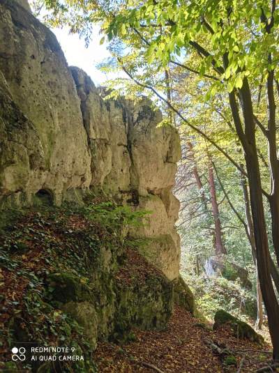 Tu jest pięknie: Dolina Prądnika w obiektywie Marcina Szymańskiego - zdjęcie 16