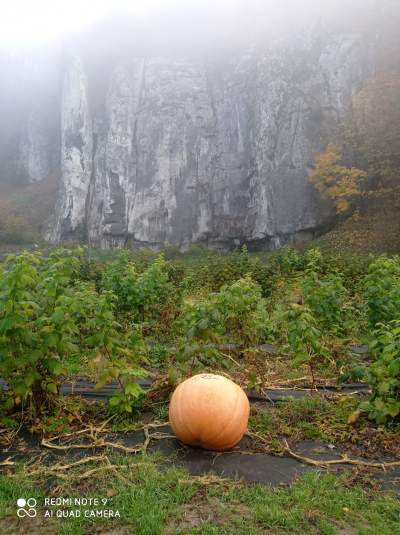 Tu jest pięknie: Dolina Prądnika w obiektywie Marcina Szymańskiego - zdjęcie 35