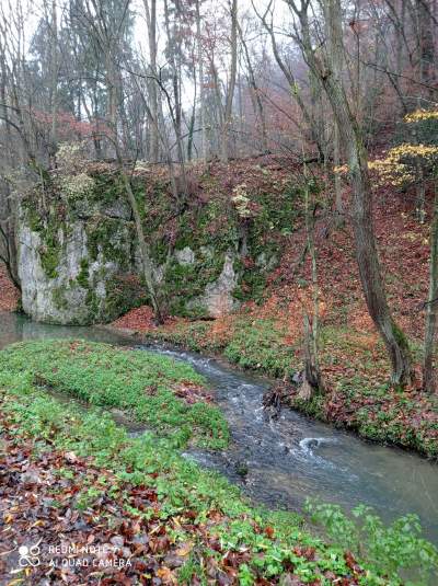 Tu jest pięknie: Dolina Prądnika w obiektywie Marcina Szymańskiego - zdjęcie 38