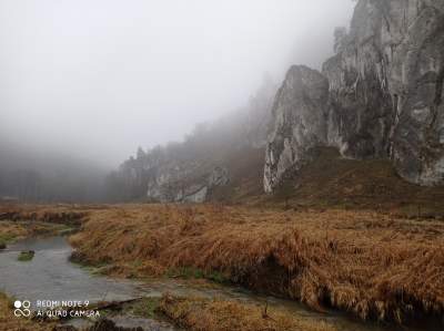 Tu jest pięknie: Dolina Prądnika w obiektywie Marcina Szymańskiego - zdjęcie 49
