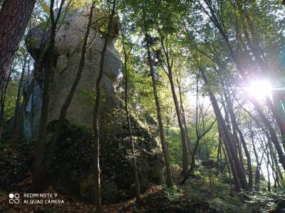 Tu jest pięknie: Dolina Prądnika w obiektywie Marcina Szymańskiego - zdjęcie 15