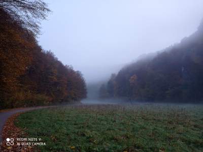 Tu jest pięknie: Dolina Prądnika w obiektywie Marcina Szymańskiego - zdjęcie 32