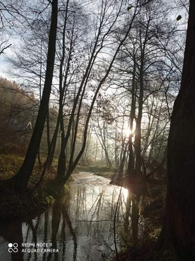 Tu jest pięknie: Dolina Prądnika w obiektywie Marcina Szymańskiego - zdjęcie 40