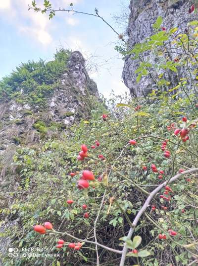 Tu jest pięknie: Dolina Prądnika w obiektywie Marcina Szymańskiego - zdjęcie 8