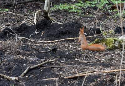 Tak zmienia się otoczenie Tauron Areny... - zdjęcie 31