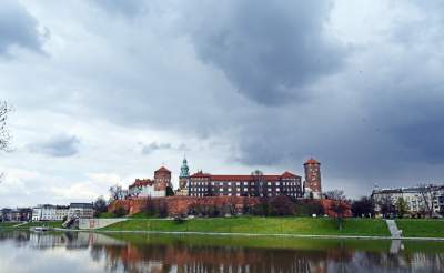 Wawelskie magnolie, najbardziej spektakularny zwiastun wiosny - zdjęcie 20