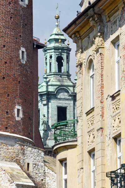 Wawelskie magnolie, najbardziej spektakularny zwiastun wiosny - zdjęcie 19