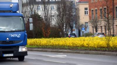 „Żółte morze" w Alejach Trzech Wieszczów - zdjęcie 3