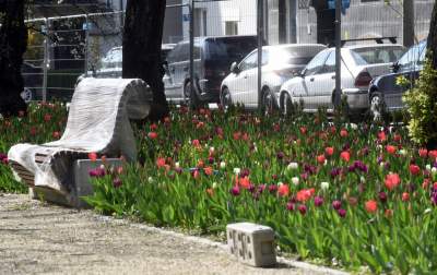 Tak zmienia się Plac Biskupi... - zdjęcie 5