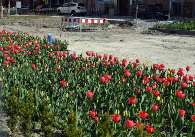 Tak zmienia się Plac Biskupi... - zdjęcie 25