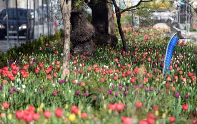 Tak zmienia się Plac Biskupi... - zdjęcie 10