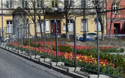 Tak zmienia się Plac Biskupi... - zdjęcie 12