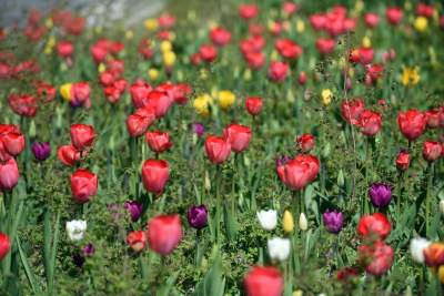 Tak zmienia się Plac Biskupi... - zdjęcie 8