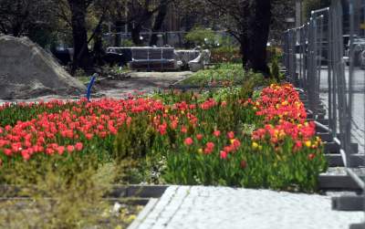 Tak zmienia się Plac Biskupi... - zdjęcie 19