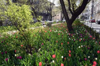 Tak zmienia się Plac Biskupi... - zdjęcie 27