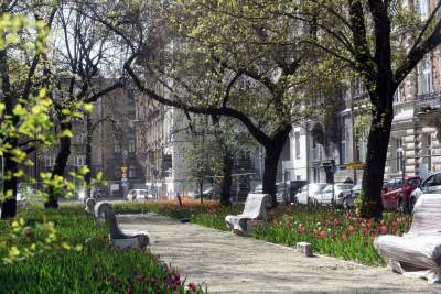 Tak zmienia się Plac Biskupi... - zdjęcie 6