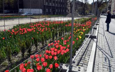 Tak zmienia się Plac Biskupi... - zdjęcie 23