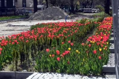 Tak zmienia się Plac Biskupi... - zdjęcie 18