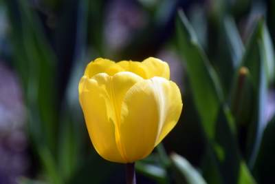 Tak zmienia się Plac Biskupi... - zdjęcie 20