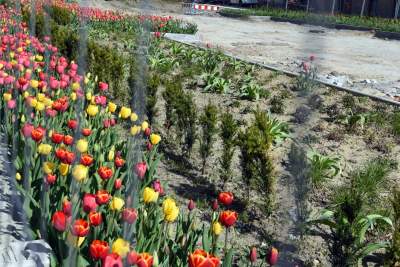 Tak zmienia się Plac Biskupi... - zdjęcie 26