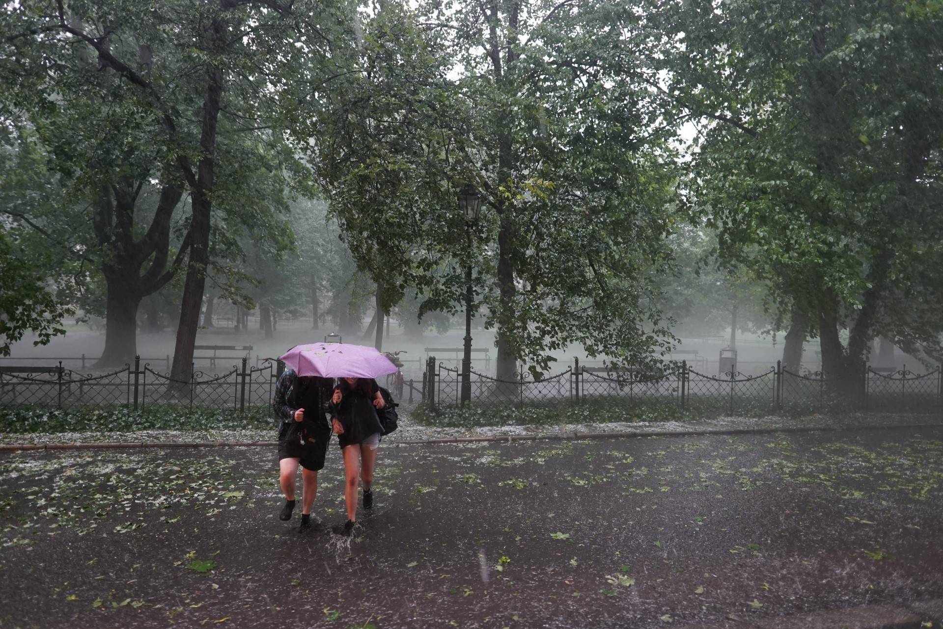 Cieszcie się słońcem, wieczorem nawałnica!