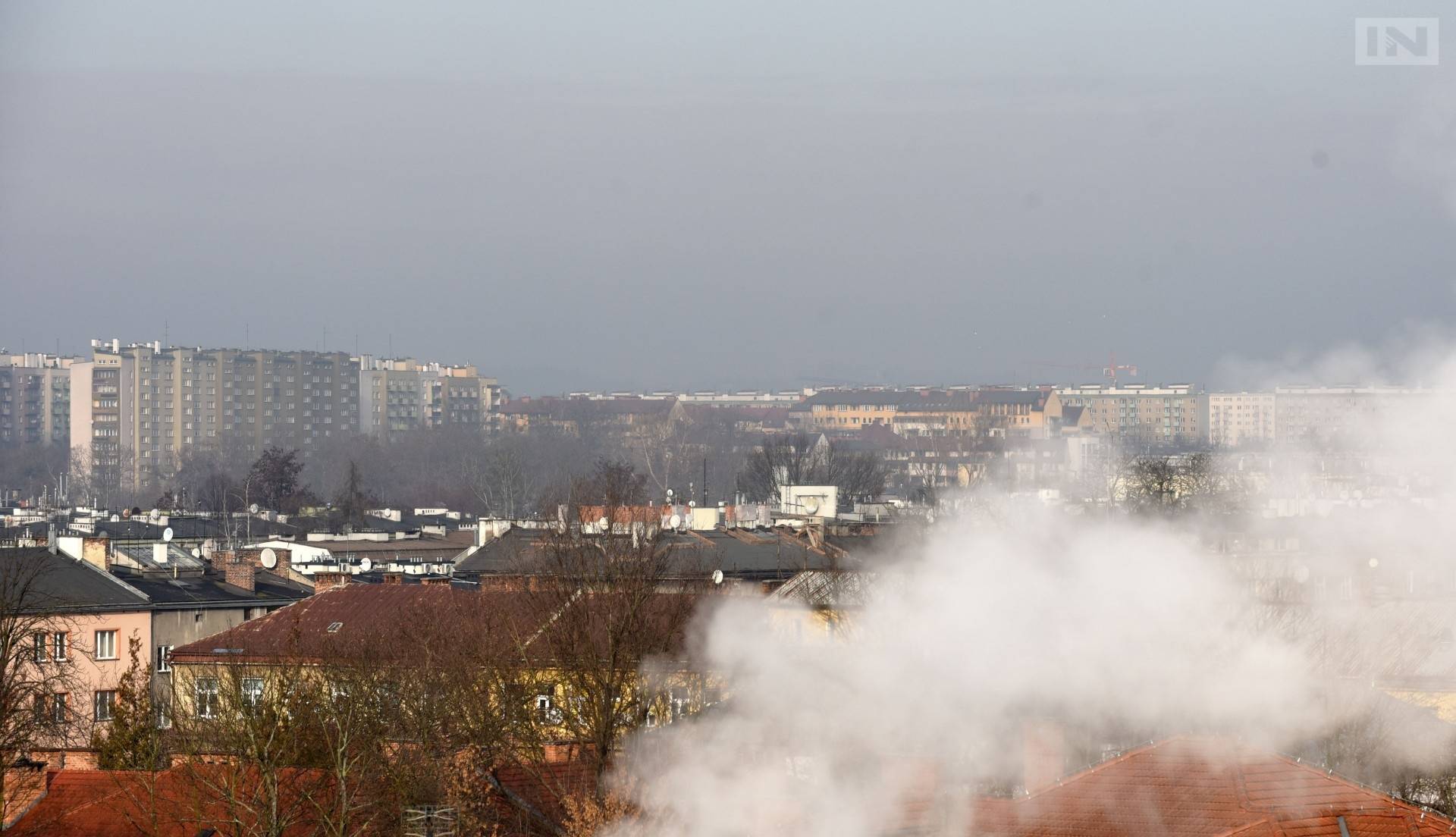 PiS wstrzymuje walkę ze smogiem. „Zapłacimy za to zdrowiem i utratą funduszy”
