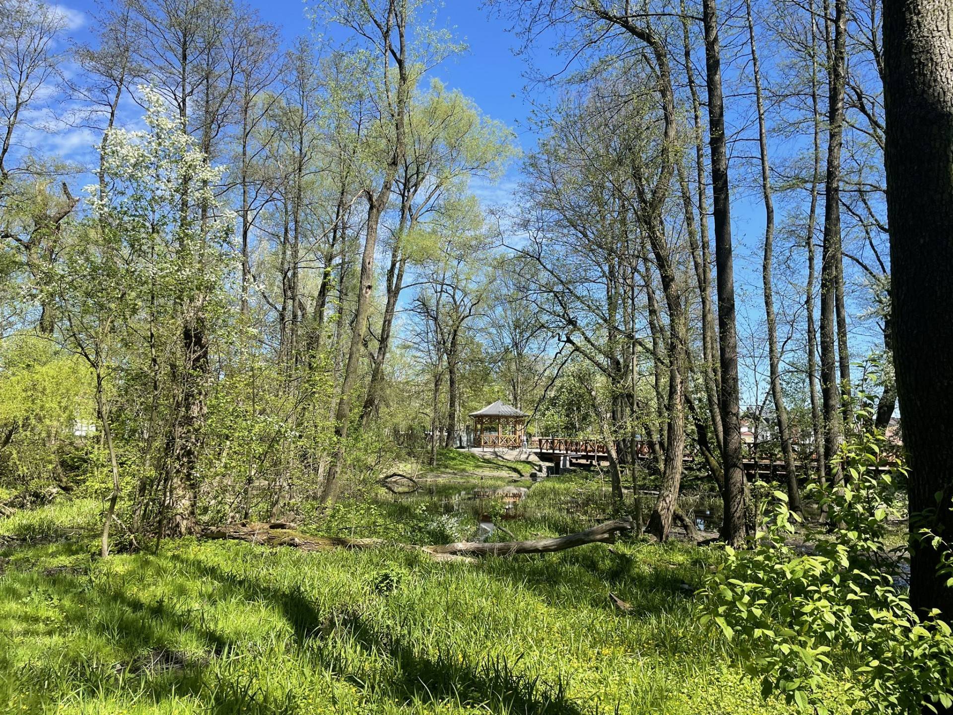 Kraków nagrodzony w konkursie "Miasto z klimatem". Za park Duchacki