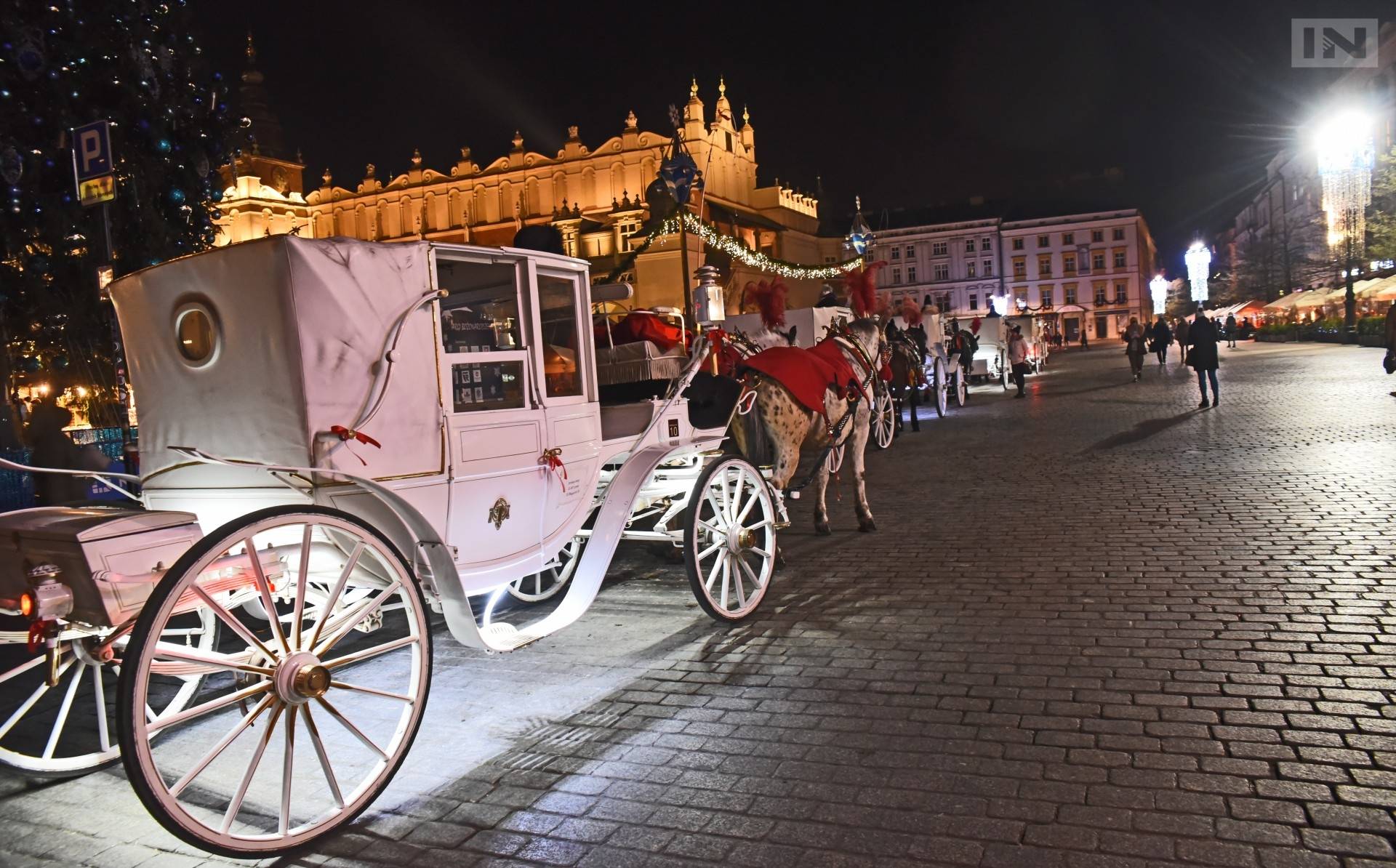Projekt uchwały w sprawie likwidacji dorożek złożony. Popisało go 835 osób