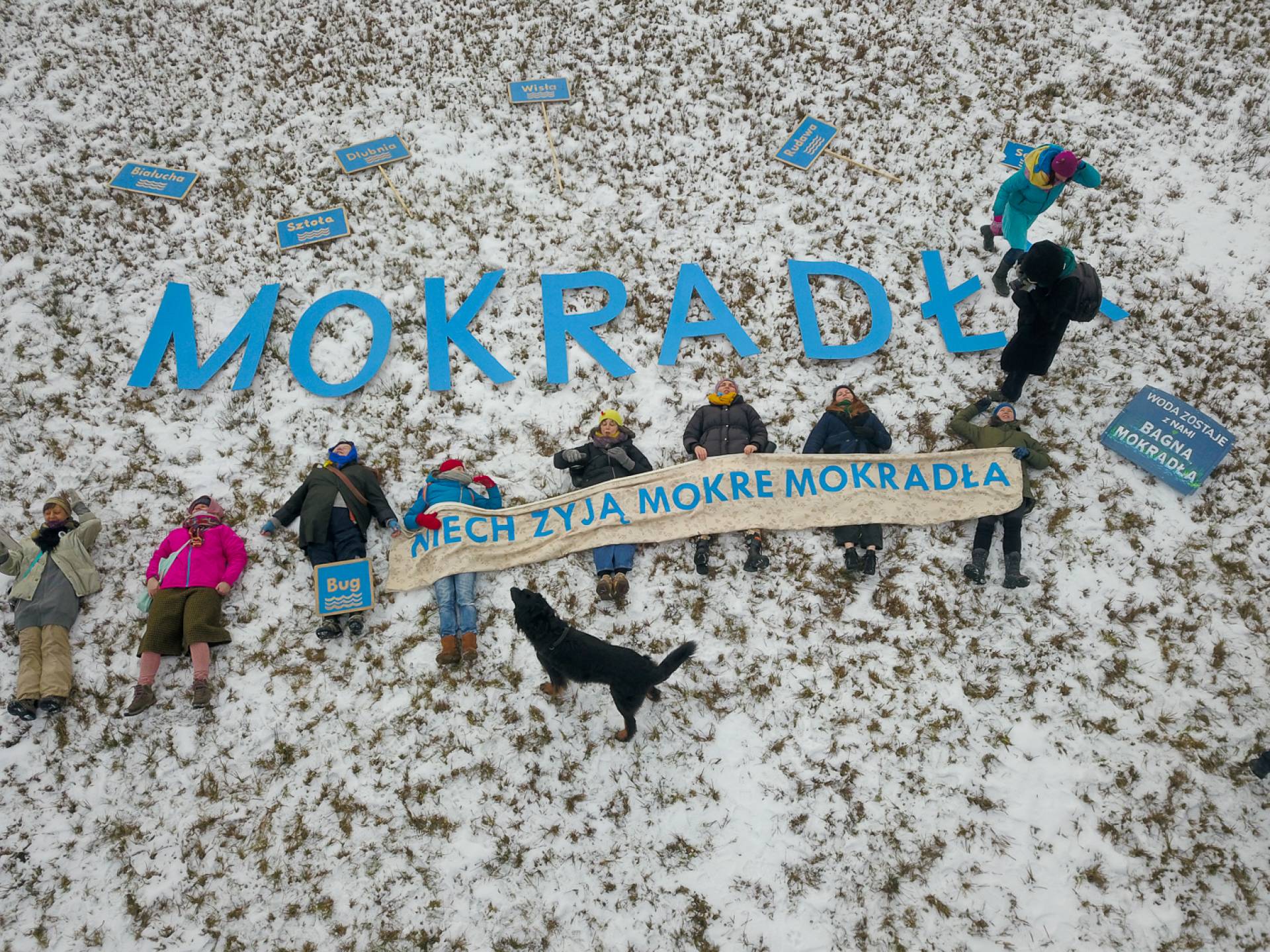 Taka sytuacja na Łąkach Nowohuckich...