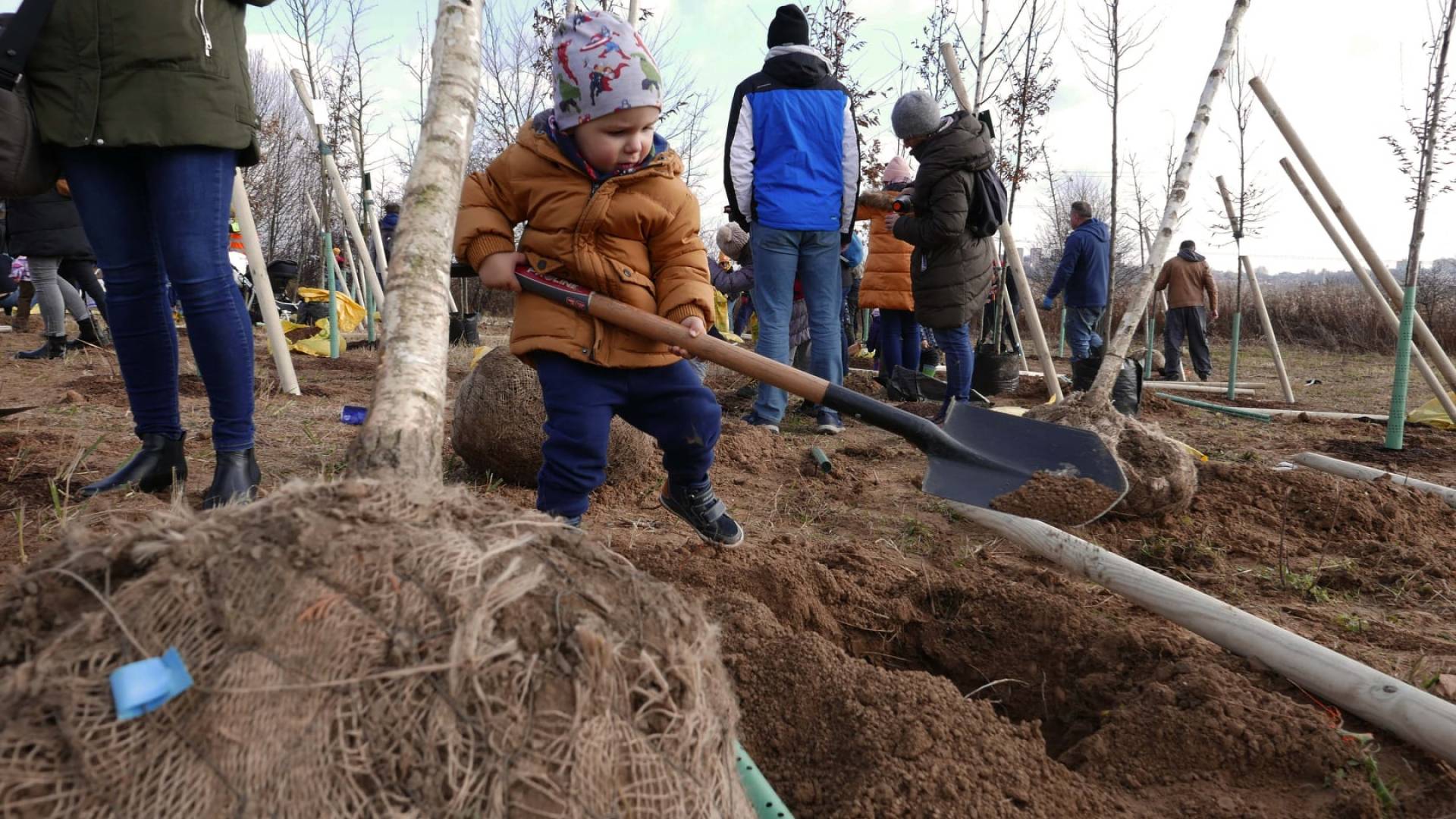 Zasadzono kolejny Park Krakowian. Inicjatywa znakomicie się rozwija