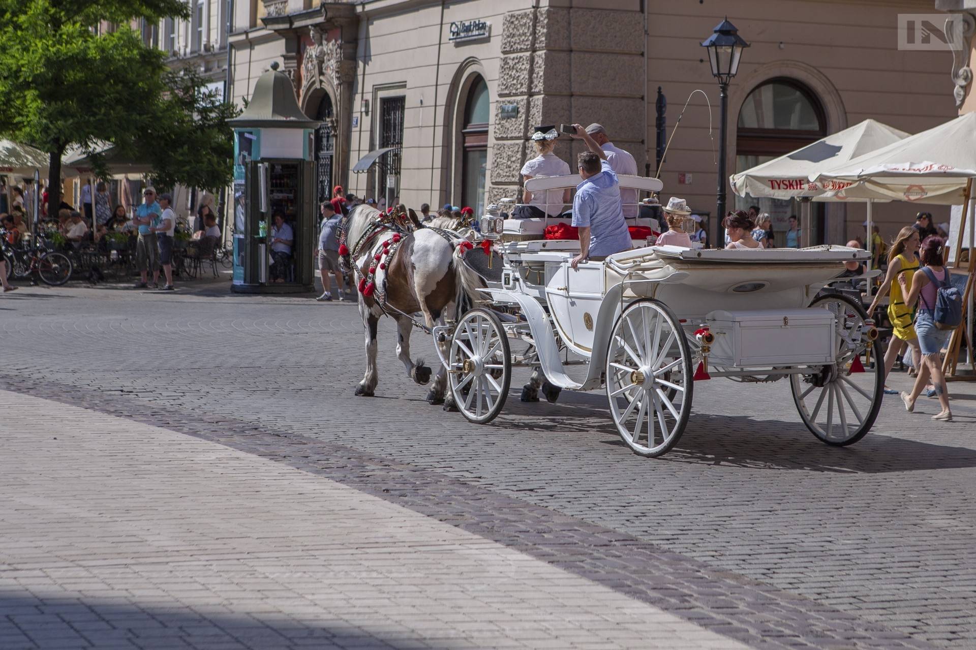 Kraków bez dorożek? Są zbierane podpisy w tej sprawie