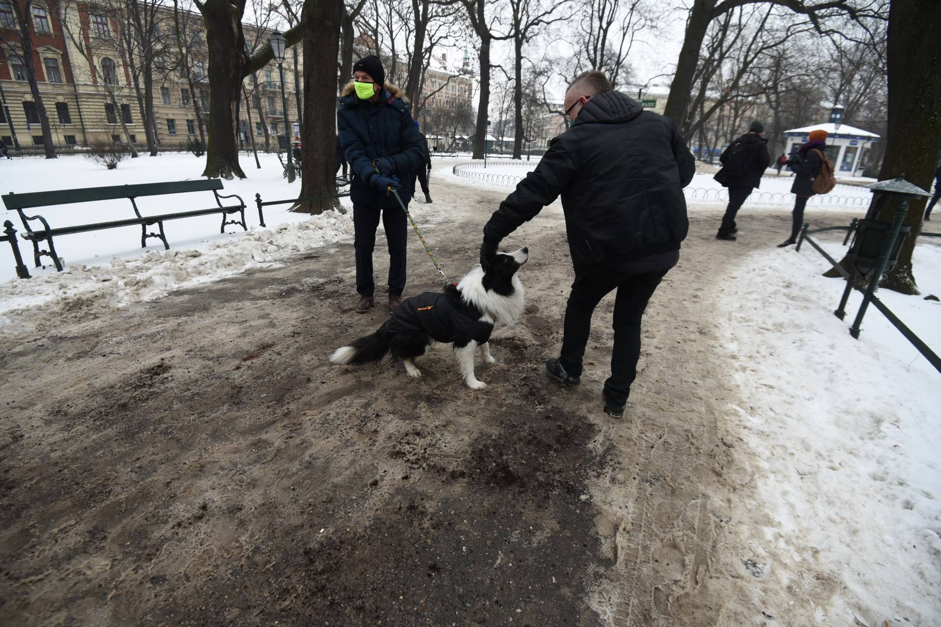 Planty pachną kawą, psy szczęśliwe. Eksperyment Zarządu Zieleni Miejskiej