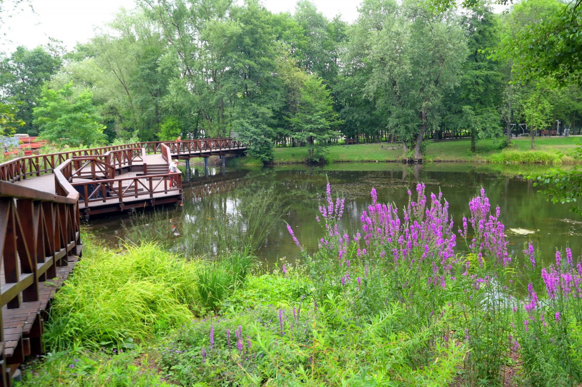 Spichlerz, ogród, sad: czas na otwarcie drugiej części parku Duchackiego