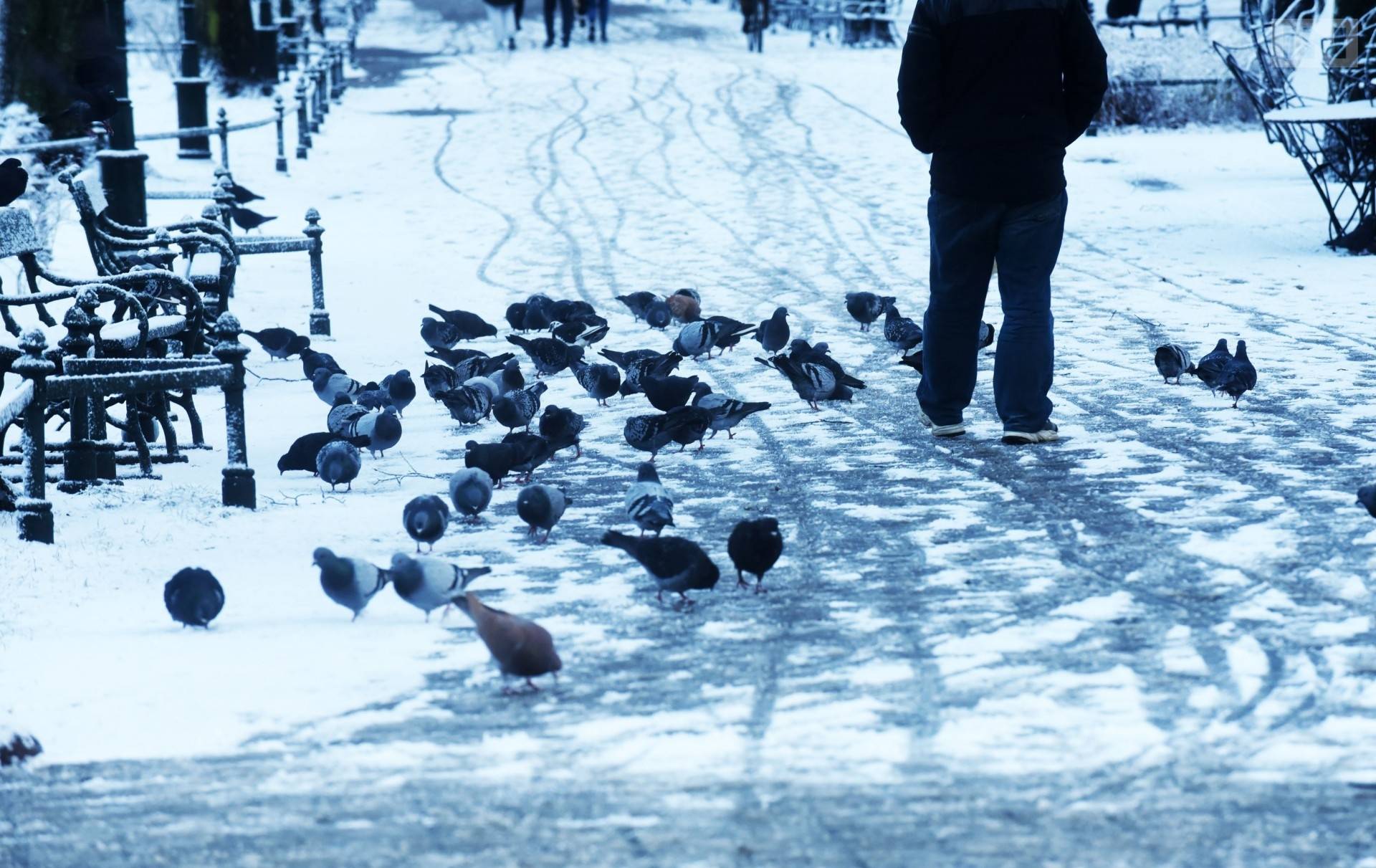 Wraca wiatr, śnieg i mróz. Możliwe "rozproszone burze śnieżne"