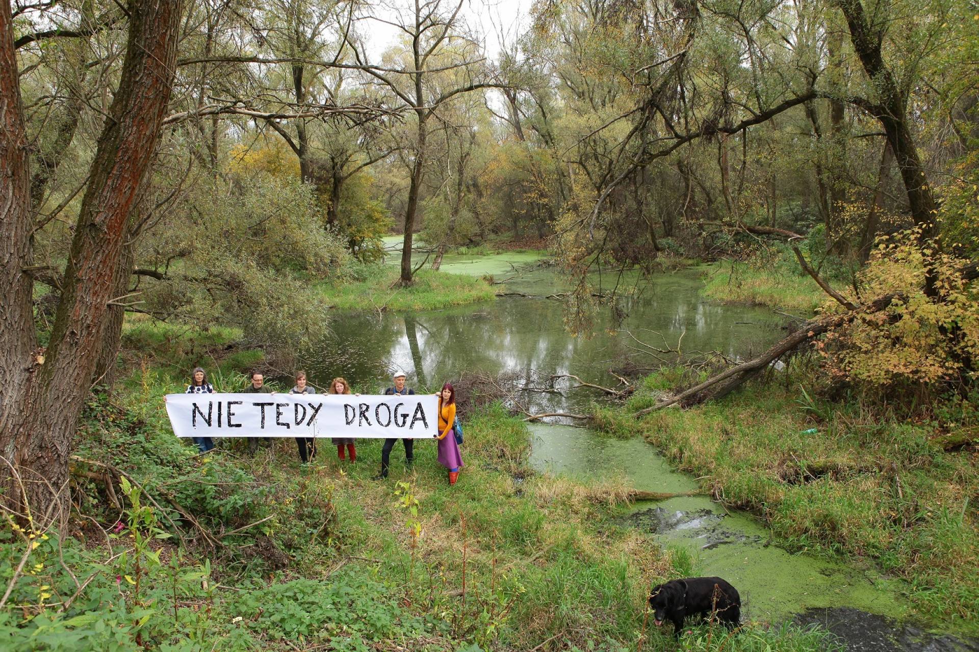 Wykonują dla nas pracę nie do przecenienia i nie robią tego dla pieniędzy