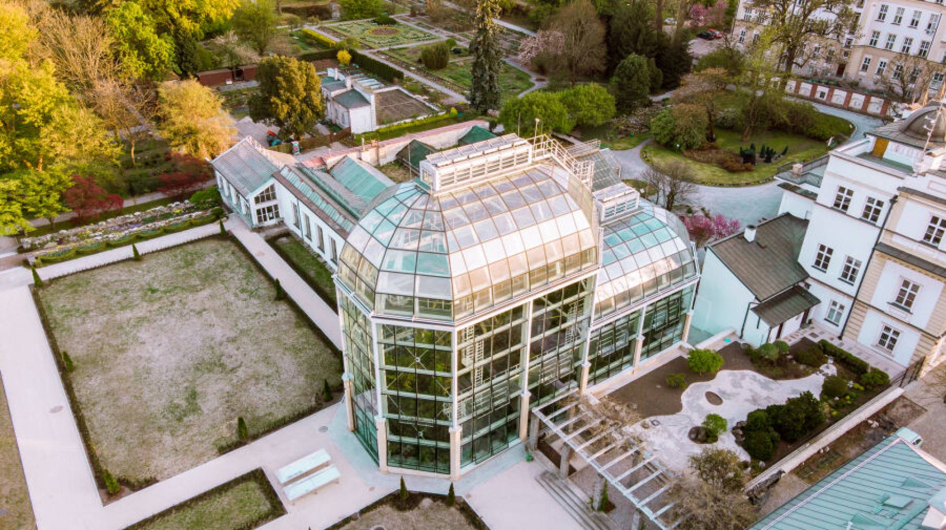 Duże zmiany w krakowskim ogrodzie botanicznym. Warto się wybrać...