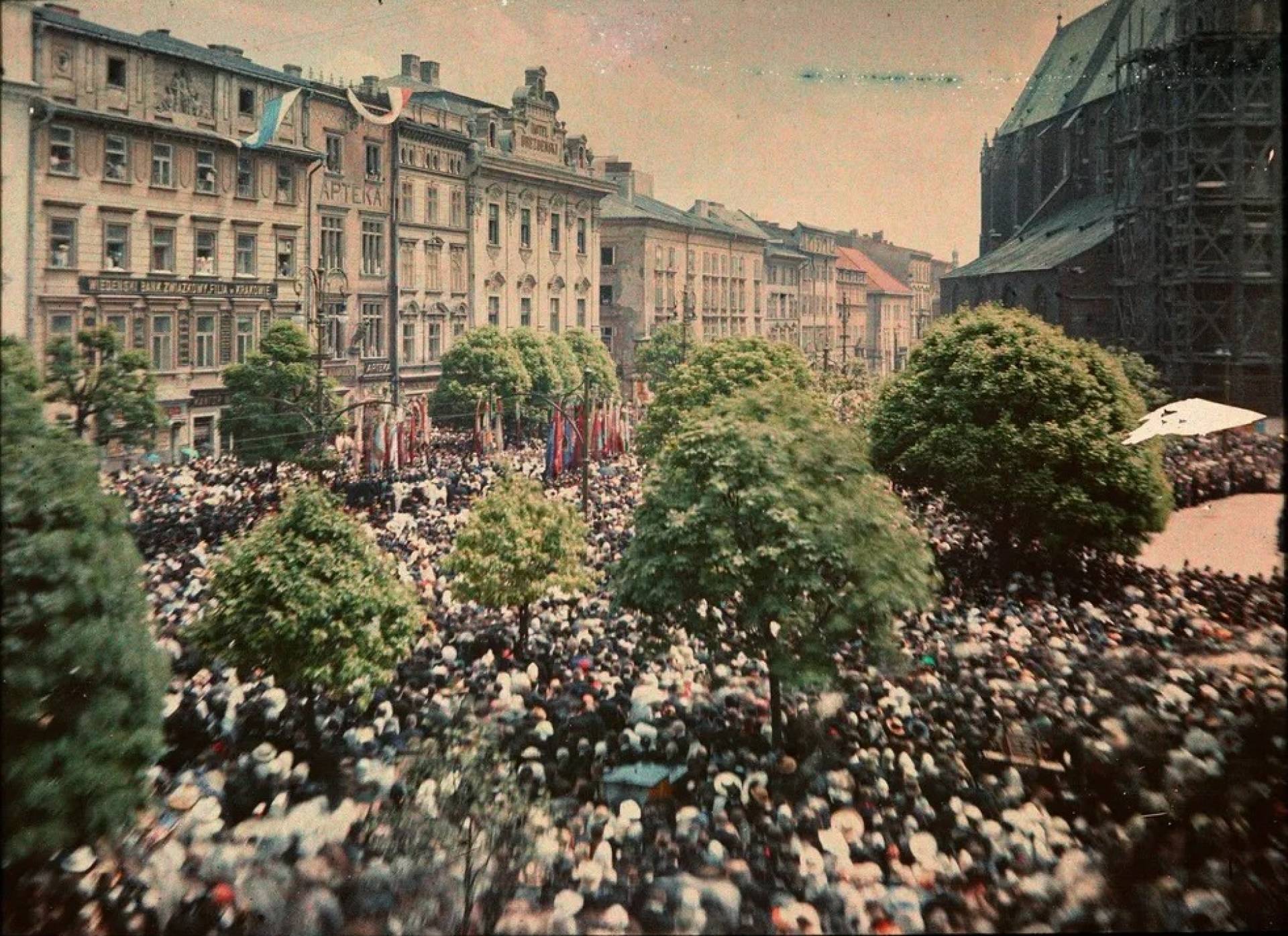 „Posadźmy drzewa na Rynku Głównym” wygrywa Budżet Obywatelski