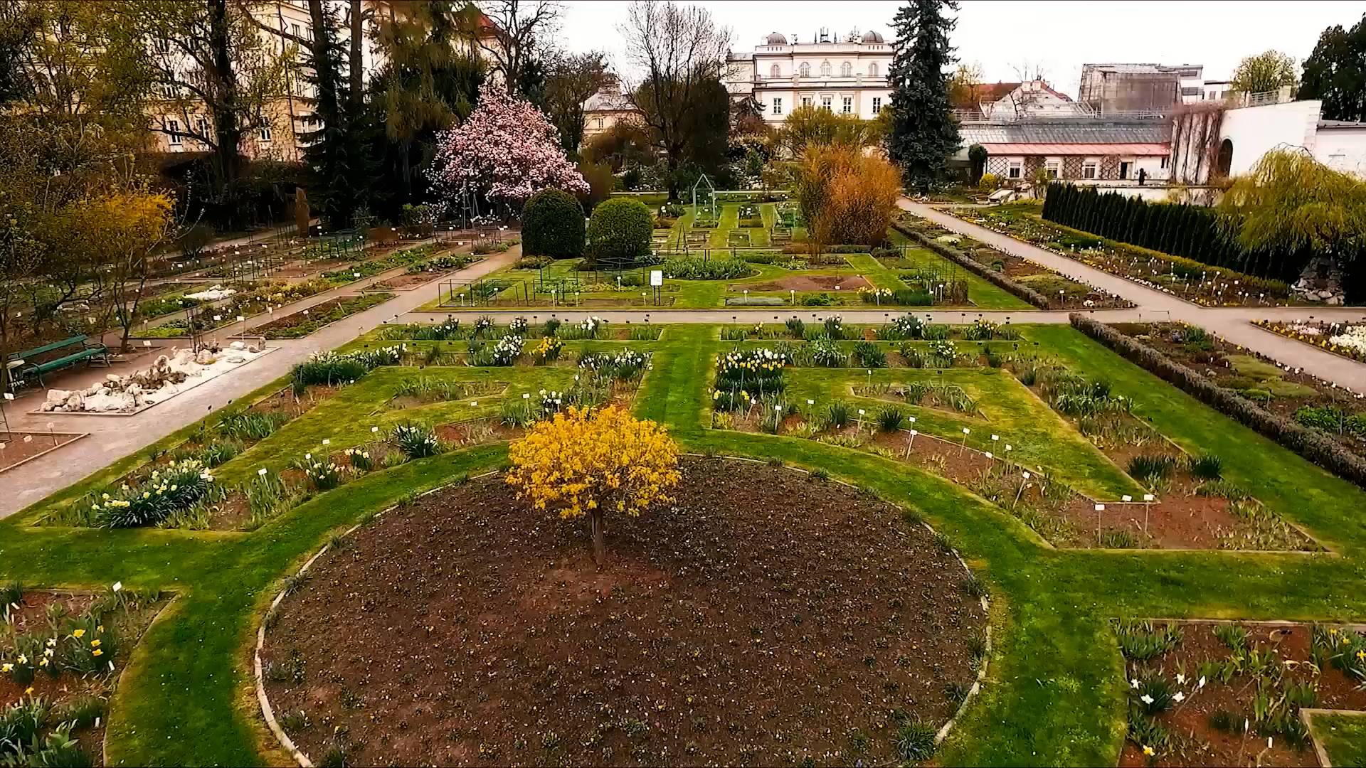 Noc Kupały w Ogrodzie Botanicznym, jeśli gdzieś szukać kwiatu paproci, to tutaj