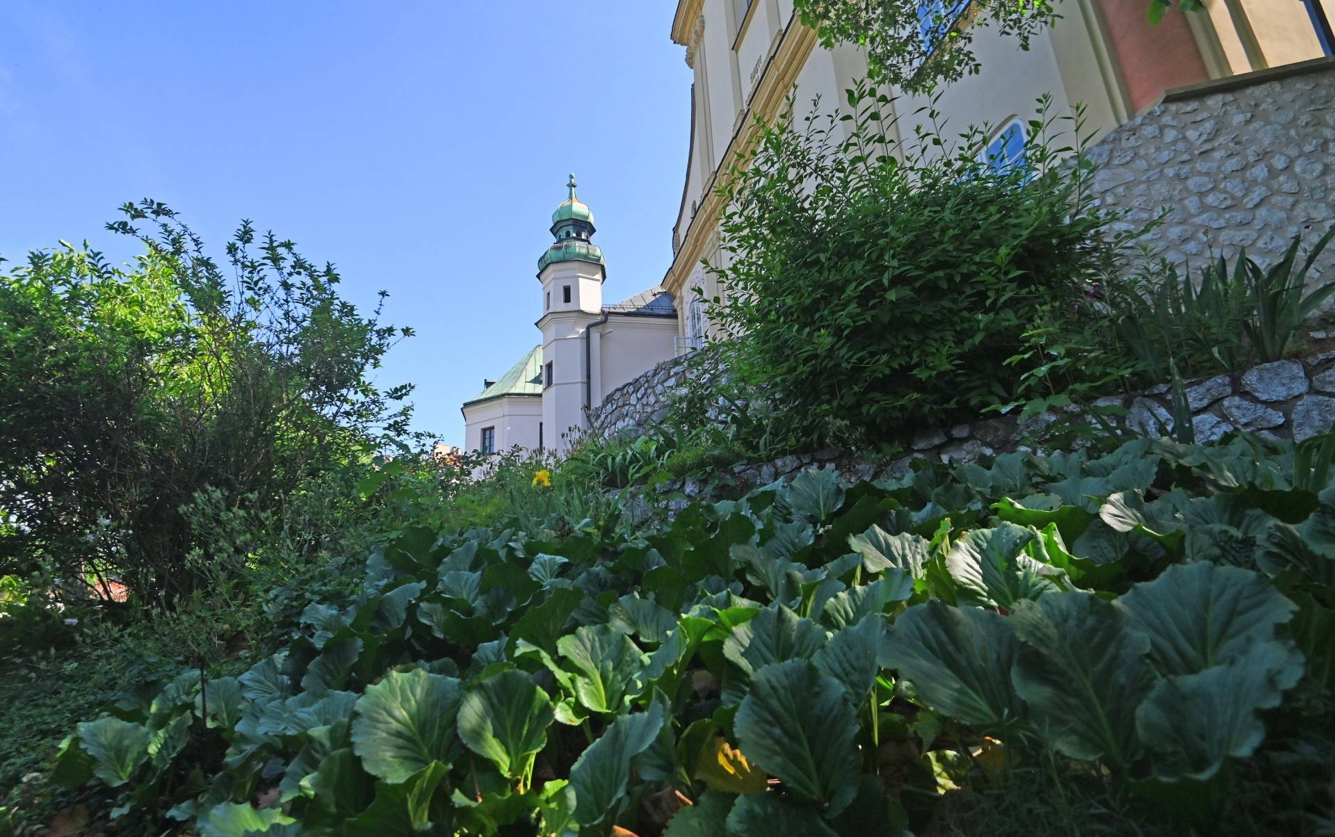 Skałka: park reliktów archeologicznych, nowe odkrycia