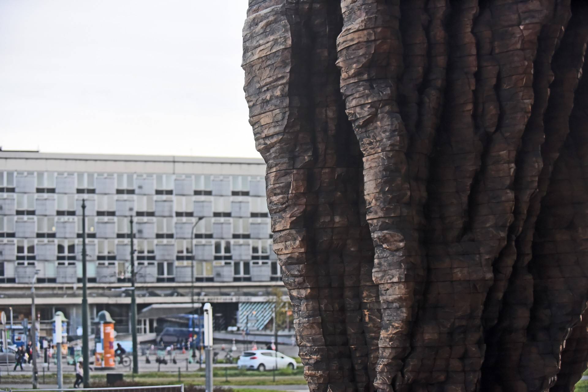 Monumentalne rzeźby przed Muzeum Narodowym. Z wyjątkowego drewna