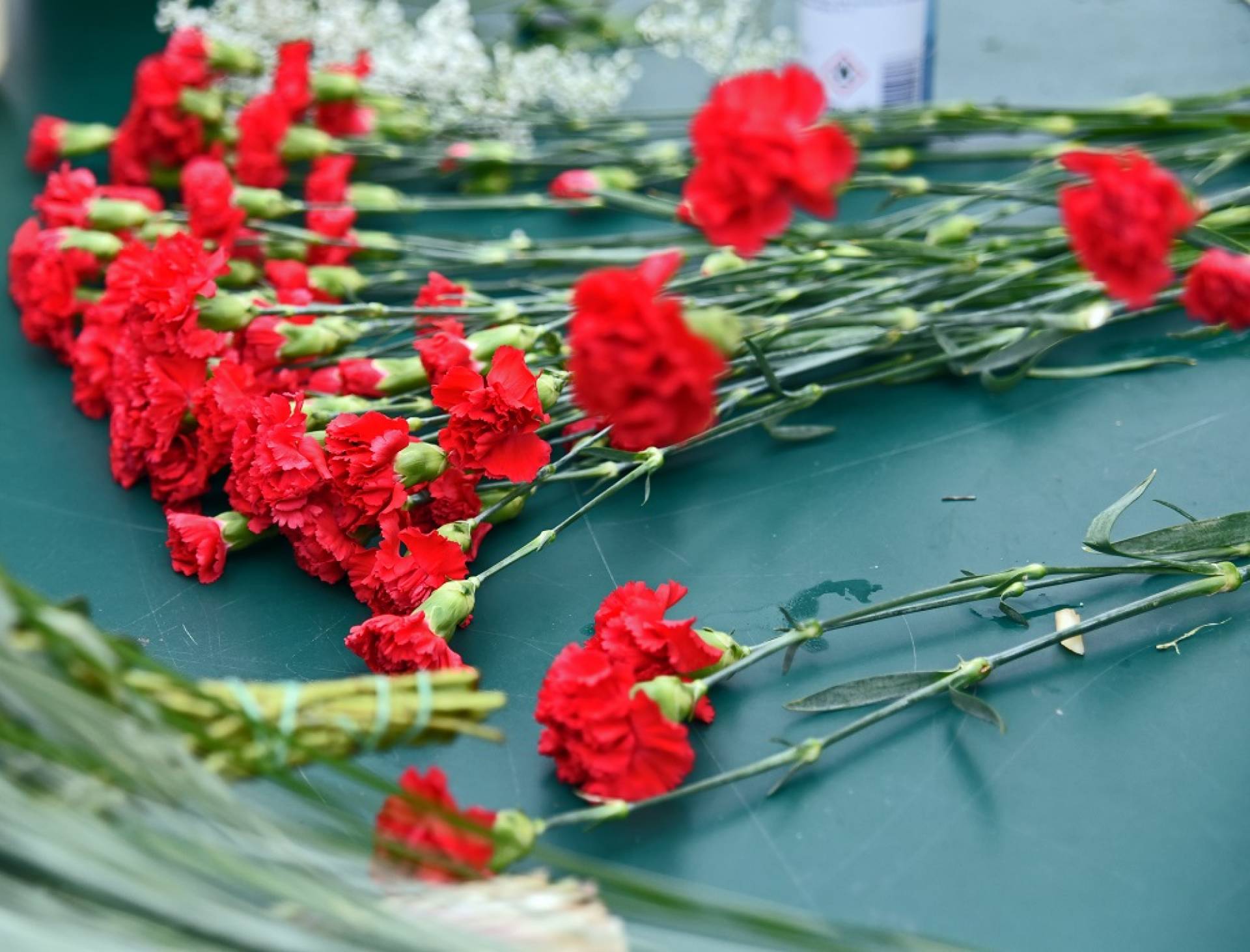 Które kwiaty lubicie najbardziej? Najlepsze życzenia z okazji Dnia Kobiet