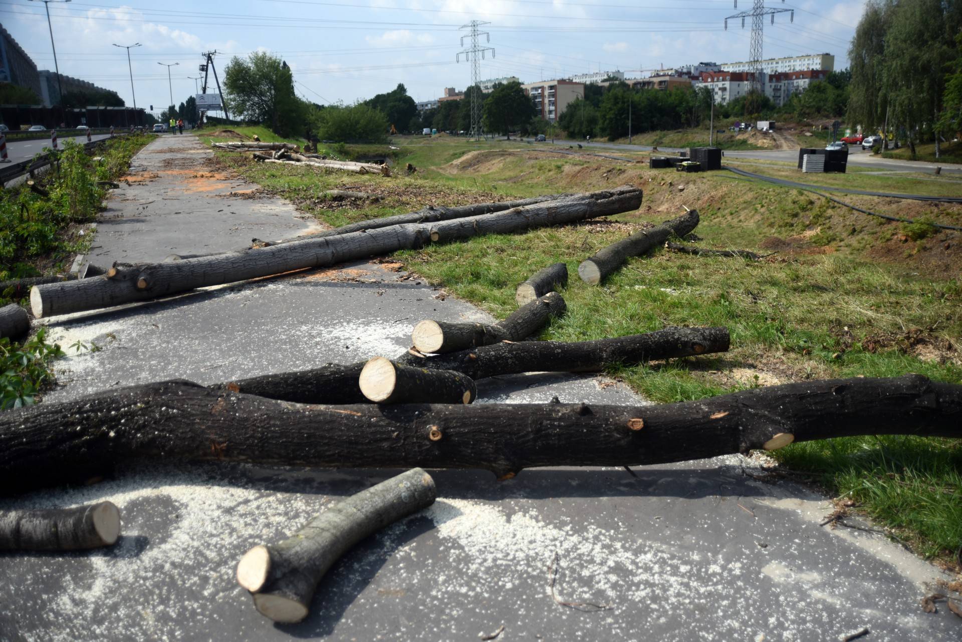 Idą jak burza. Na razie jedno wielkie pobojowisko